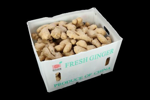 Gember per doos (FRESH GINGER BOX) 12 kg