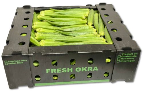 OKRA (LADY FINGER) per doos 5 kg