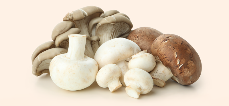 Assortiment champignons